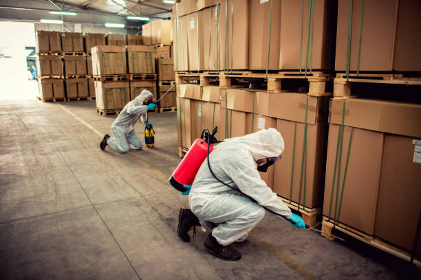 Best Bed Bug Extermination  in Continental, OH