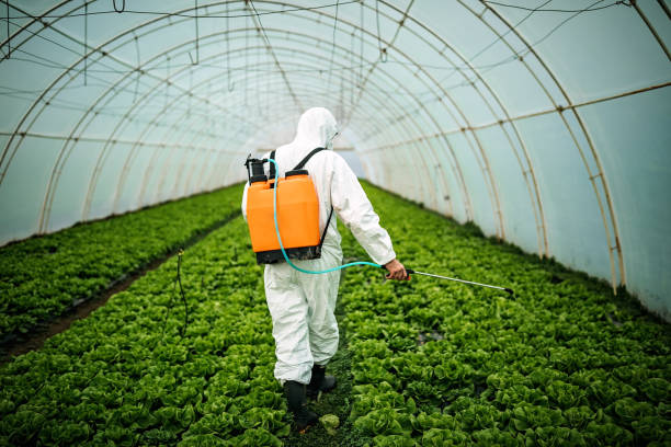 Best Best Pest Control Companies  in Continental, OH