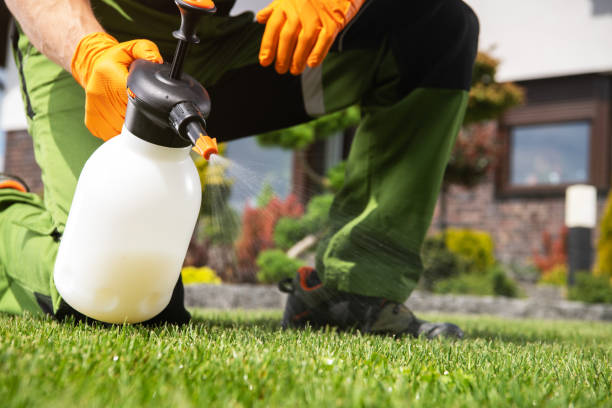 Best Best Pest Control Companies  in Continental, OH