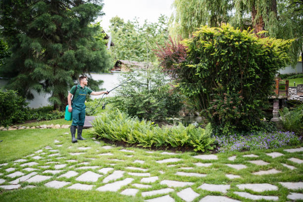 Best Commercial Pest Control Services  in Continental, OH