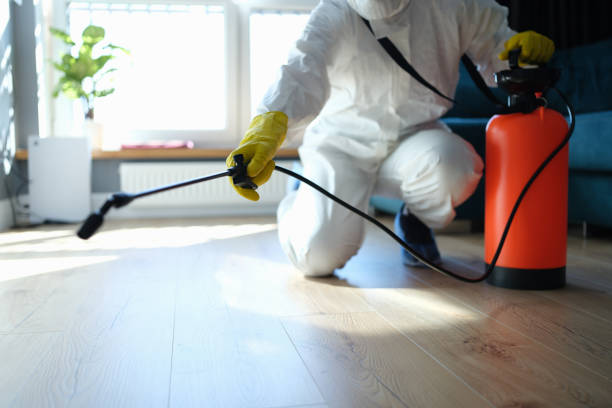 Best Pest Removal Services  in Continental, OH