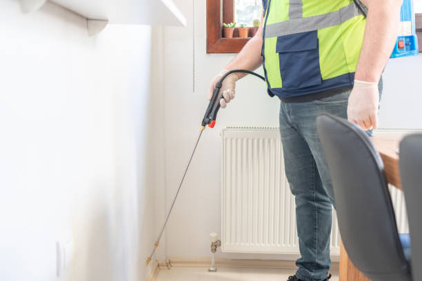 Best Ant Control Services  in Continental, OH