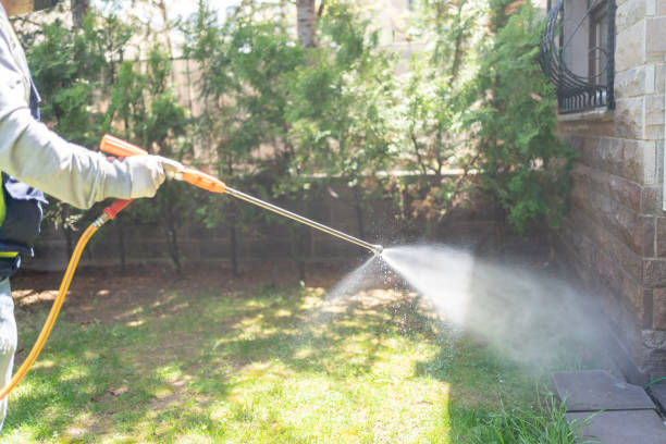 Best Local Pest Control Services  in Continental, OH