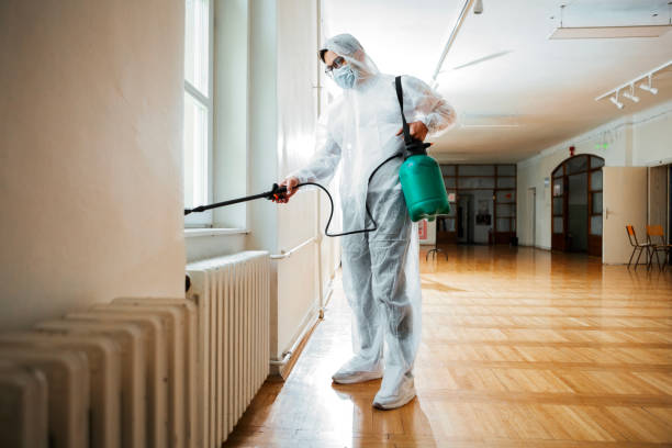 Best Flea Control Services  in Continental, OH