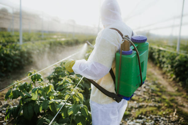 Best Local Pest Control Services  in Continental, OH